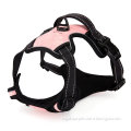 /msite/products/detail/productid/62407406/id/1503393.html